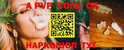 тгк Кингисепп