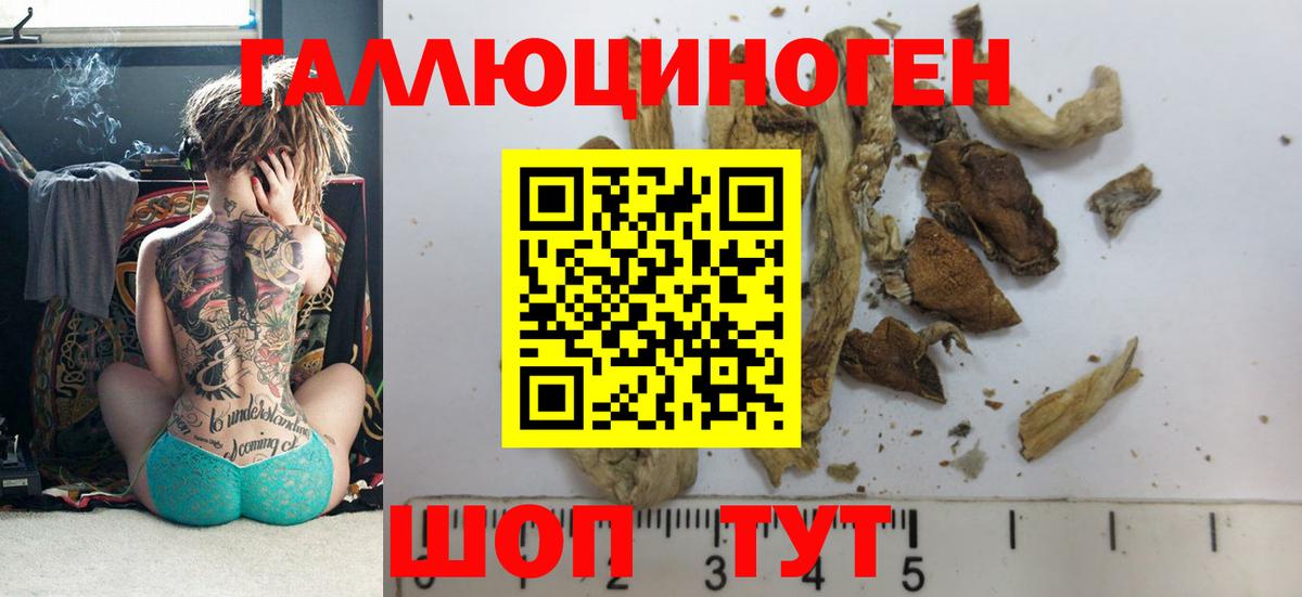 Псилоцибиновые грибы Cubensis Чистополь