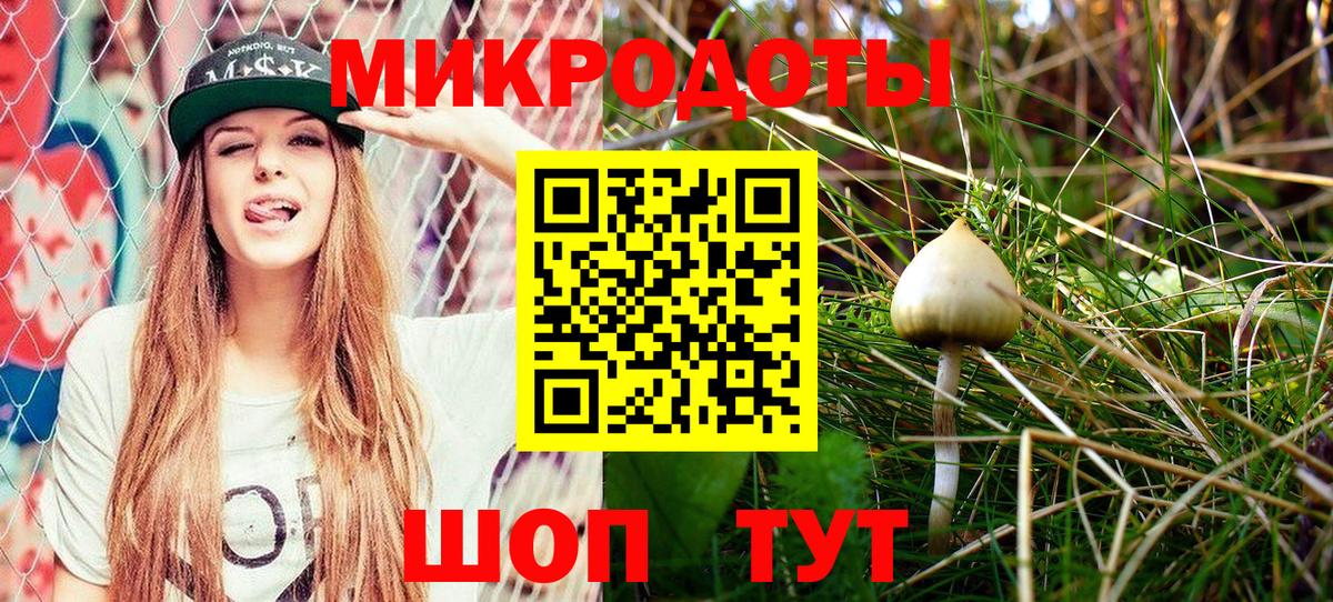 Псилоцибиновые грибы GOLDEN TEACHER  Галлюциногенные грибы Cubensis  Вход с VPN  Чистополь 